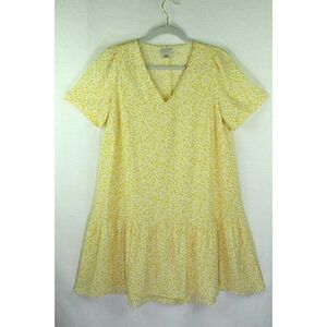 A New Day Dropped Waist Floral Print Dress